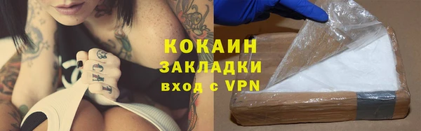 сатива Богородск