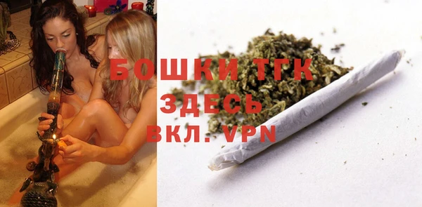 метадон Богданович