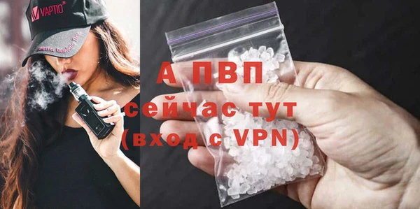 метадон Богданович