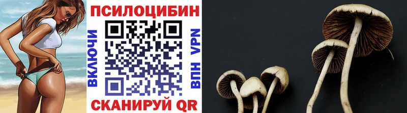 Галлюциногенные грибы Magic Shrooms где найти Минеральные Воды